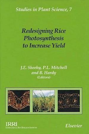 Redesigning Rice Photosynthesis to Increase Yield