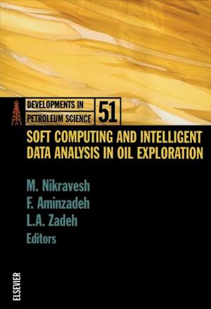 Soft Computing and Intelligent Data Analysis in Oil Exploration