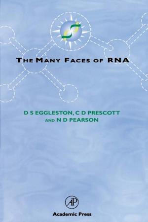 Many Faces of RNA