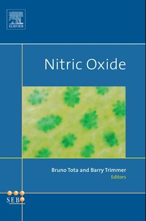 Nitric Oxide