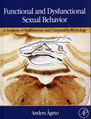 Functional and Dysfunctional Sexual Behavior