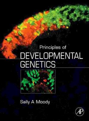 Principles of Developmental Genetics