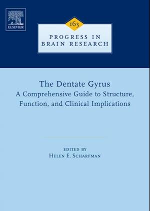 Dentate Gyrus: A Comprehensive Guide to Structure, Function, and Clinical Implications