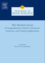 Dentate Gyrus: A Comprehensive Guide to Structure, Function, and Clinical Implications