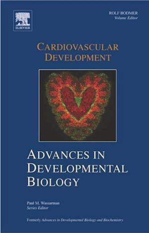 Cardiovascular Development