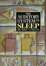 Auditory System in Sleep