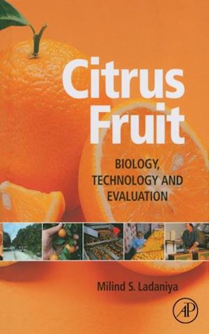 Citrus Fruit