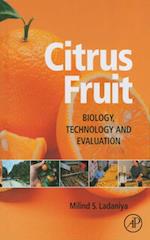 Citrus Fruit