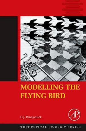 Modelling the Flying Bird