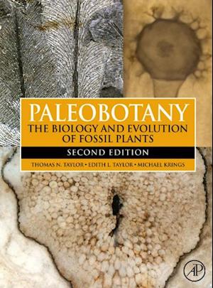 Paleobotany