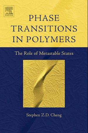 Phase Transitions in Polymers: The Role of Metastable States