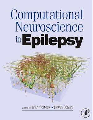 Computational Neuroscience in Epilepsy