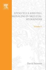 Stem Cells and Cell Signalling in Skeletal Myogenesis