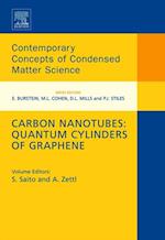 Carbon Nanotubes: Quantum Cylinders of Graphene