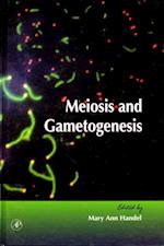 Meiosis and Gametogenesis