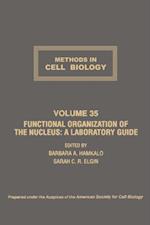 Functional Organization of The Nucleus