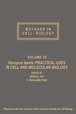 Xenopus laevis: Practical Uses in Cell and Molecular Biology