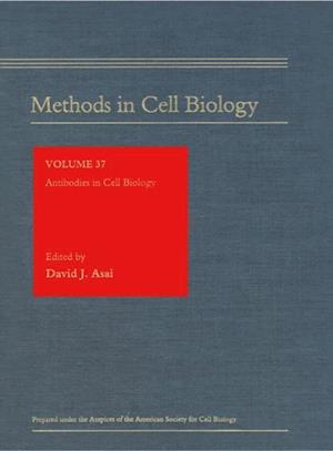 Antibodies in Cell Biology