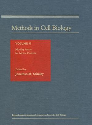 Motility Assays for Motor Proteins