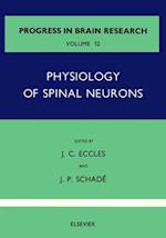 Physiology of Spinal Neurons