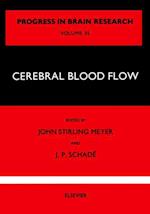 Cerebral Blood Flow