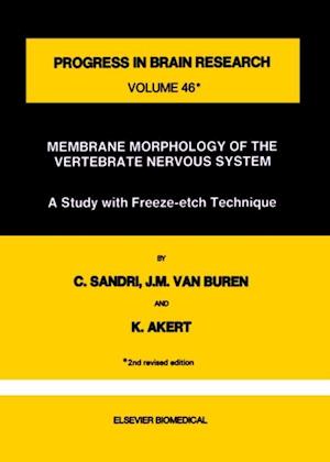 Membrane Morphology of the Vertebrate Nervous System