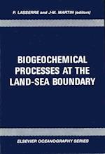 Biogeochemical Processes at the Land-Sea Boundary