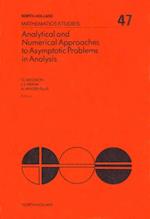 Analytical and Numerical Approaches to Asymptotic Problems in Analysis