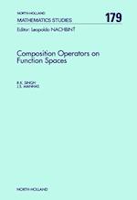 Composition Operators on Function Spaces