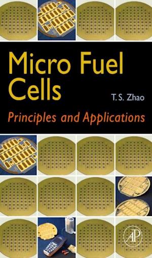 Micro Fuel Cells