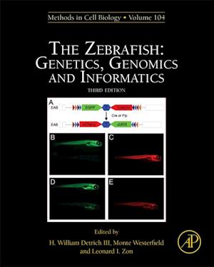 Zebrafish: Genetics, Genomics and Informatics