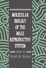 Molecular Biology of the Male Reproductive System