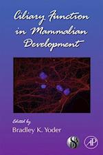 Ciliary Function in Mammalian Development