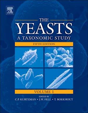 Yeasts