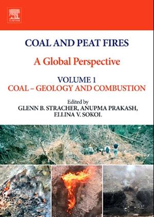 Coal and Peat Fires: A Global Perspective