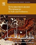 Synchrotron-Based Techniques in Soils and Sediments