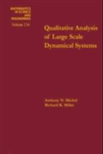 Qualitative Analysis of Large Scale Dynamical Systems