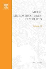 Metal Microstructures in Zeolites