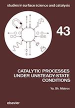 Catalytic Processes Under Unsteady-State Conditions