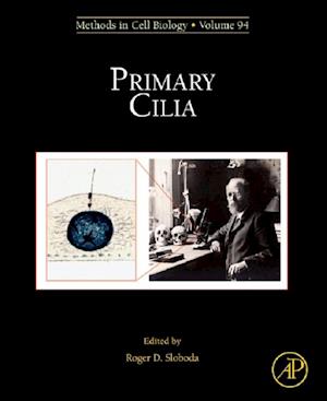 Primary Cilia