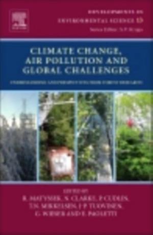 Climate Change, Air Pollution and Global Challenges