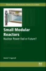 Small Modular Reactors