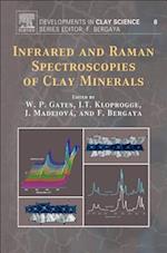 Infrared and Raman Spectroscopies of Clay Minerals