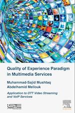 Quality of Experience Paradigm in Multimedia Services