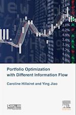 Portfolio Optimization with Different Information Flow