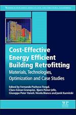 Cost-Effective Energy Efficient Building Retrofitting