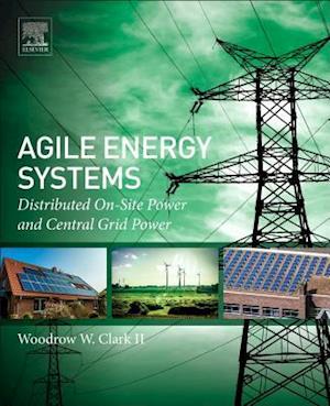 Agile Energy Systems