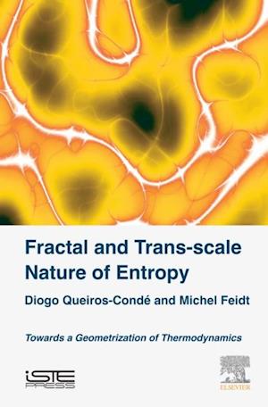 Fractal and Trans-scale Nature of Entropy