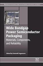Wide Bandgap Power Semiconductor Packaging
