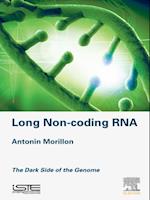 Long Non-coding RNA